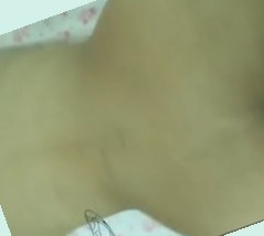 亚洲精品国产911在线观看,69国产一区二区三区在线观看
